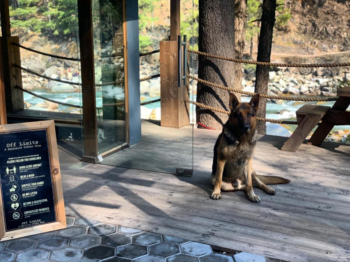 The Alpine Guest House Kasol Exterior photo